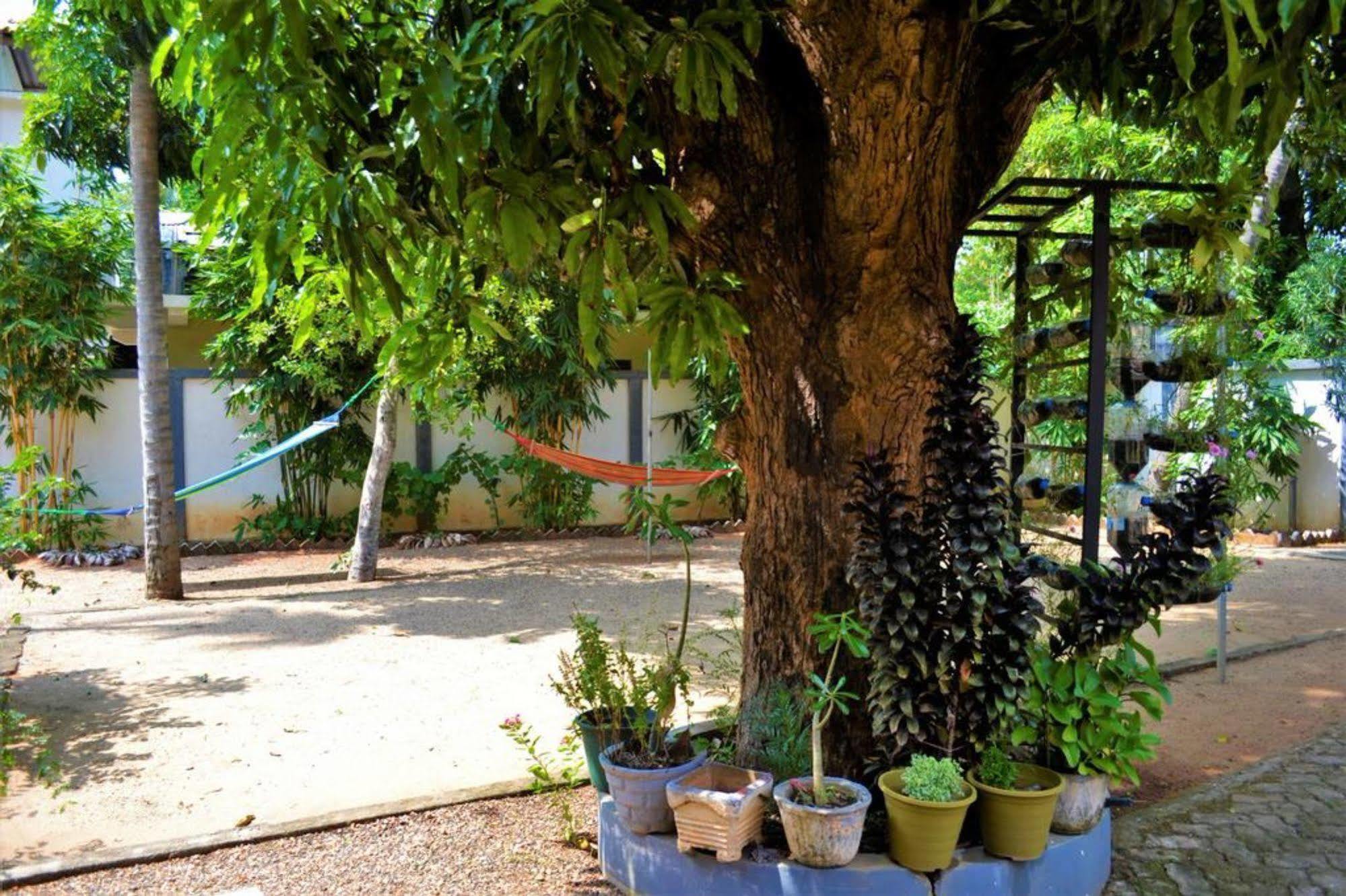 Dambulla City Hostel ภายนอก รูปภาพ